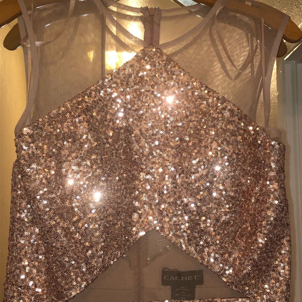Cachet prom dress Mauve